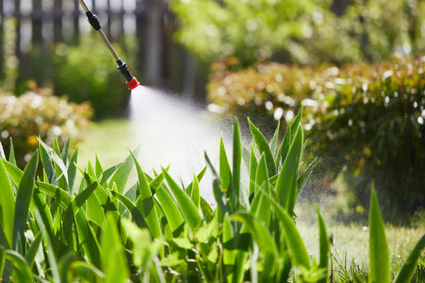 24/7 Emergency Mosquito Control experts in Newport, KY